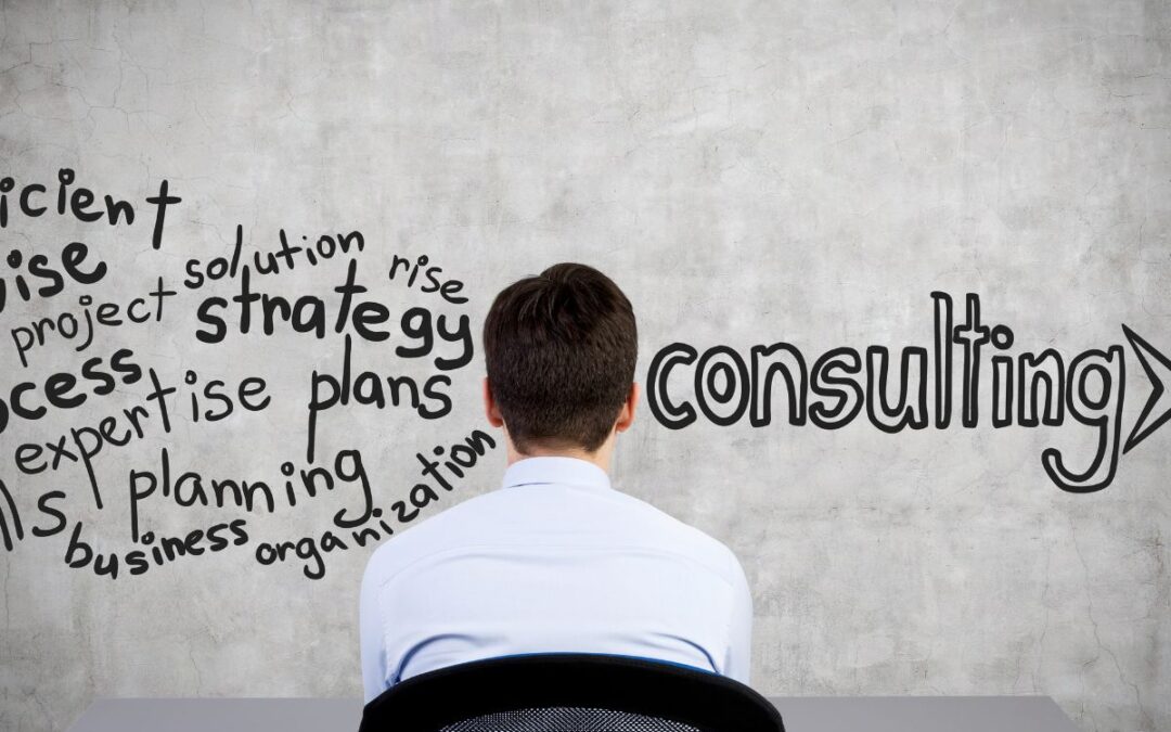Consulenza E-commerce: Una Guida Strategica per il Successo Online